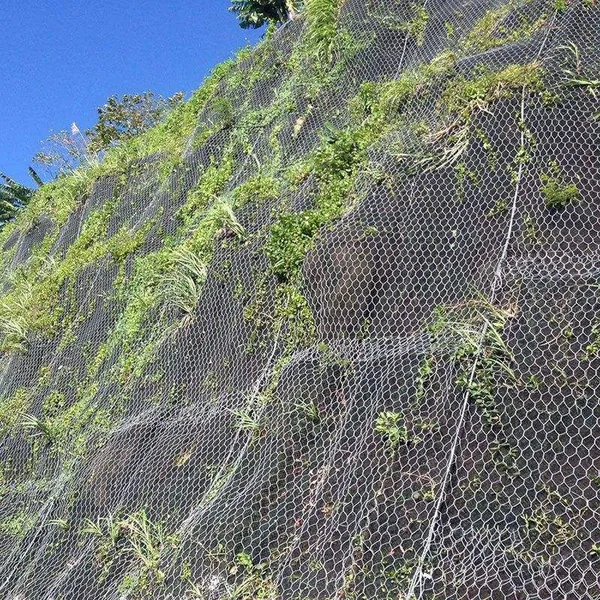 Galvanized Double Twist Steel Mesh Grid Structure Reinforced Mesh for Coastal Rockfall Protection Netting Factory Direct photo-4