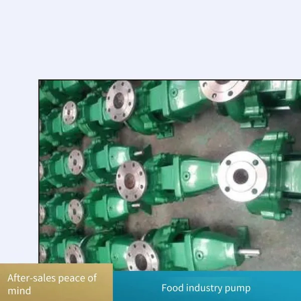 Ih100-65-315 Chemical Centrifugal Pump and Condensate Transfer Pump for Petrochemical, Food and Paper Industries, Acid and Alkali Resistant