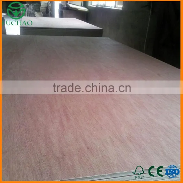 Hot Selling Best Quality Different Types of Plywood photo-6