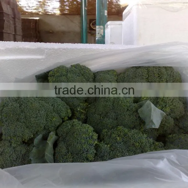 Broccoli