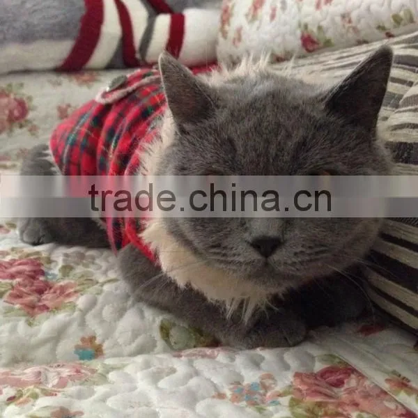 Pet Clothes photo-4