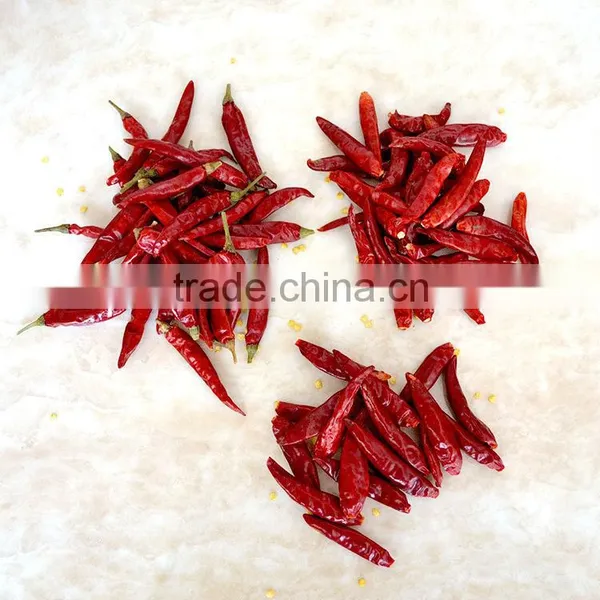 Dry Red Chili for Sale