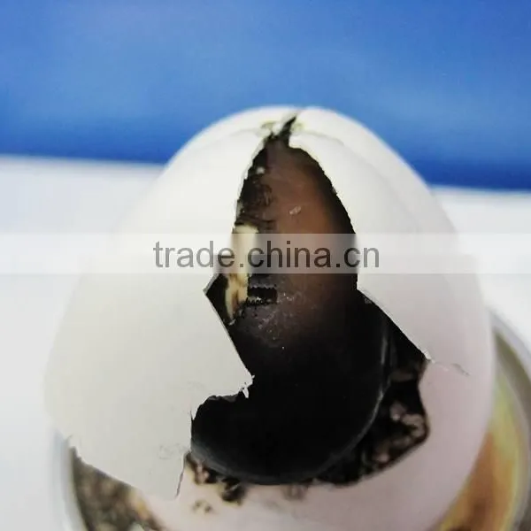 Toyota Crack Self Egg.Magic Bean.Magic Egg photo-5