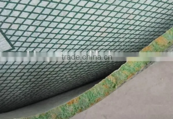 High Quality Two PE Film Flame Retardant Carpet Cushion photo-3