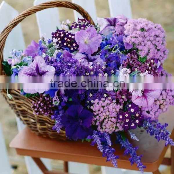 Customized Laundry Basket Vegetable Basket Storage Basket photo-6