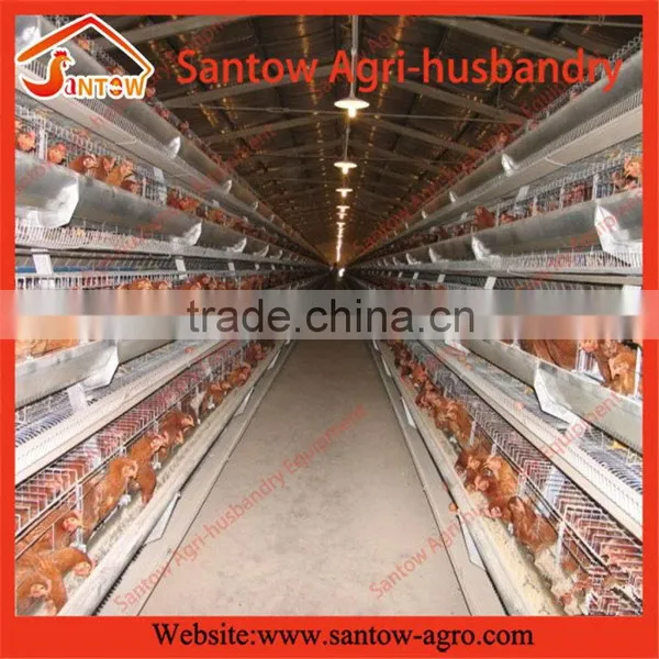Chicken Use Welded Wire Chicken Layer Cages Poultry Farm Egg Layer Cage House Coop photo-3