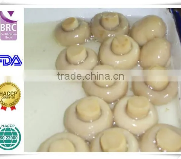 Canned Mushrooms(canned Champignon,canned Food)