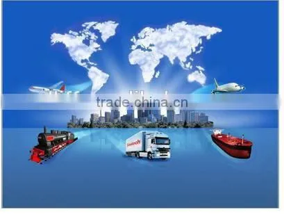 Sea Freight to Mumbai MOMBASA Kenya From Guangzhou Ningbo Shanghai Shenzhen photo-4