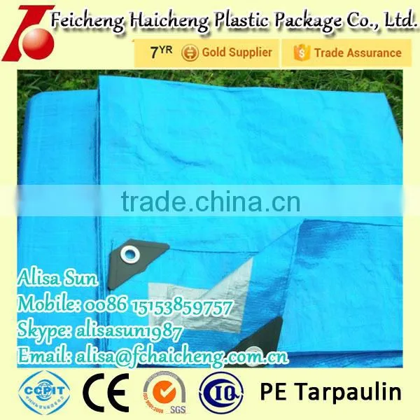 All Kind Of Sunproof Polyethylene Tarpaulin Price photo-3