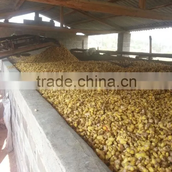 2014 Dried Ginger photo-2