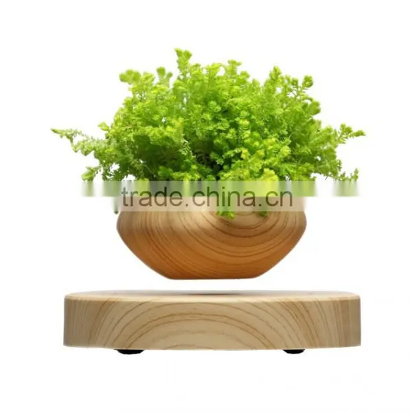 Creative Decoration Floating Mini Potted Plant Pots photo-6