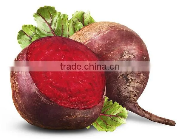 Exporters of Fresh Vegetables photo-3