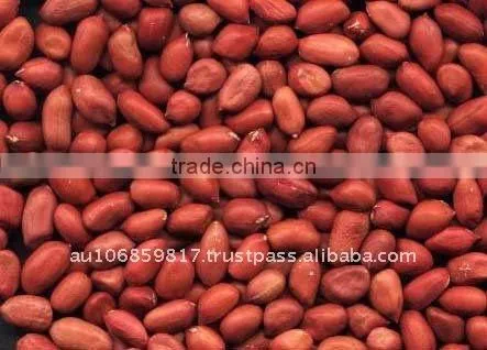 PEANUT BLANCHED PEANUT KERNEL
