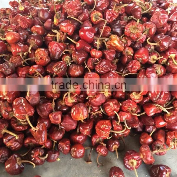 Dry Round Red Chilli From India photo-4