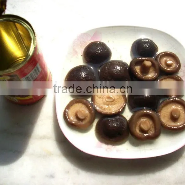 Canned Whole Button Mushroom photo-4