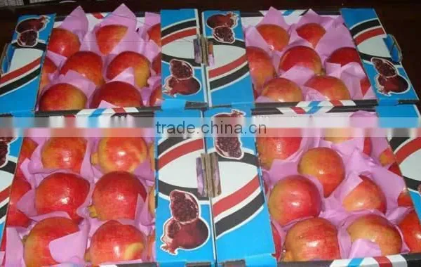 17 Ton / Container Of Fresh Pomegranates photo-5