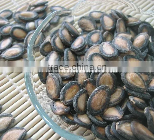 Delicious Colorful Watermelon Seeds photo-2