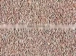 Peach and Apricot Pit Shells - Natural Soft Abrasives