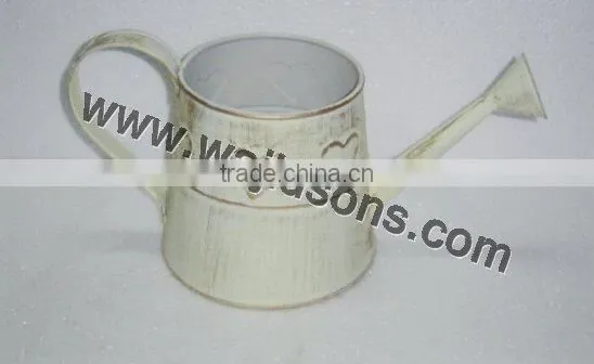 Plant Use Decorative Watering Can, Newest Watering Can