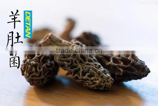 Dried Morchella Esculenta Made in China photo-4