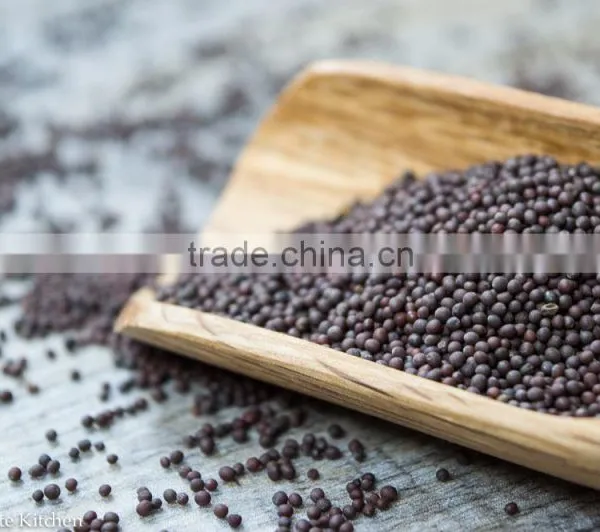 Mustard Seed photo-3