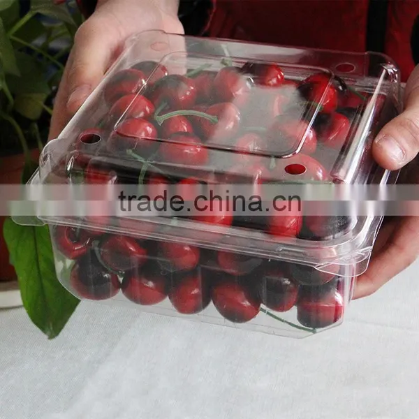 Disposable Fruit Plastic Packaging Container for Blueberry photo-4