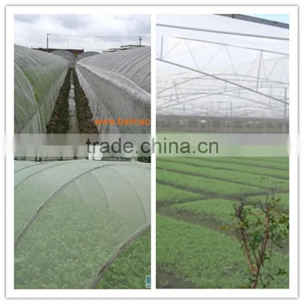 16*16 Good Quality Plastic Insect Net photo-3