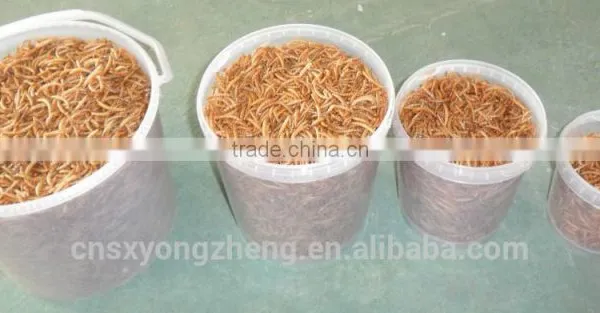 Frozen Food From Chinese Mill 28mm Dried Mealworms For Bird Food photo-4
