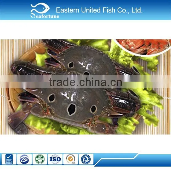 Wholesale Seafood Frozen Three Spot Crab photo-5