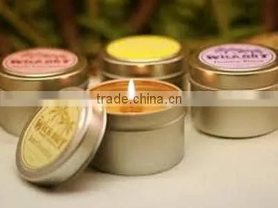 Apple Aroma Jar Type and Scented Feature Custom Glass Jar Candles for Home Decoration photo-3
