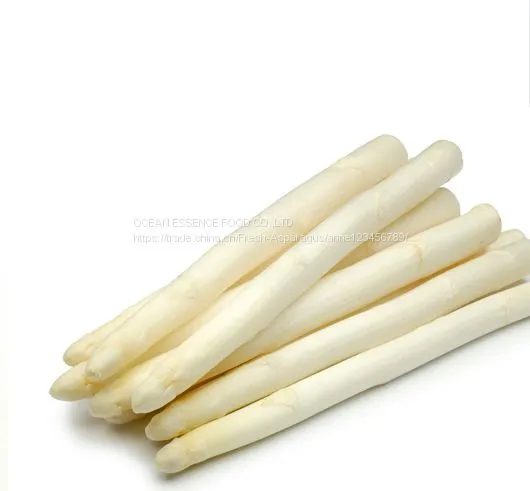 Best Price Fresh White Asparagus photo-4
