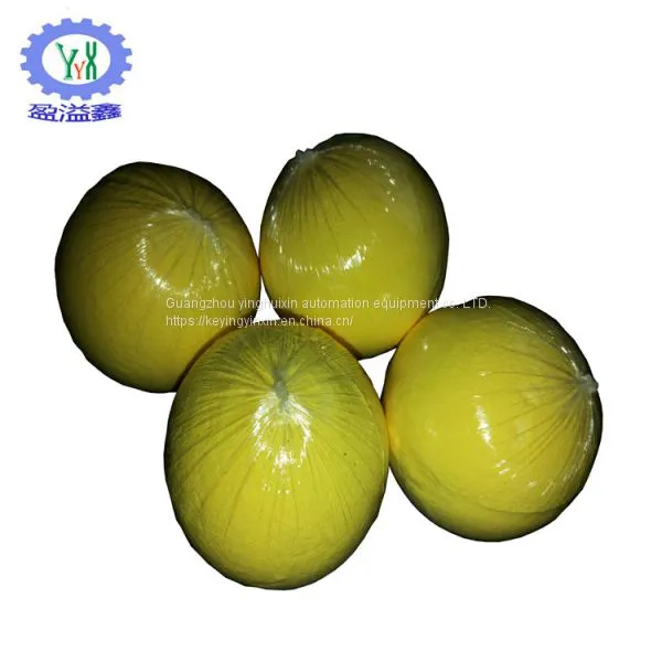 Transparent Soap Packaging Machine photo-5