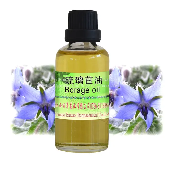 Manufacturer Supply Carrier Oil Borage Oil Pure Natural Base Oil Borage Seed Oil With Best Price photo-3