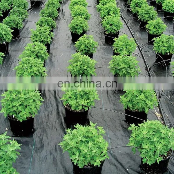 Cloth Weed Control Mat Anti Weed Fabric, Ground Cover for Flower Bed photo-5