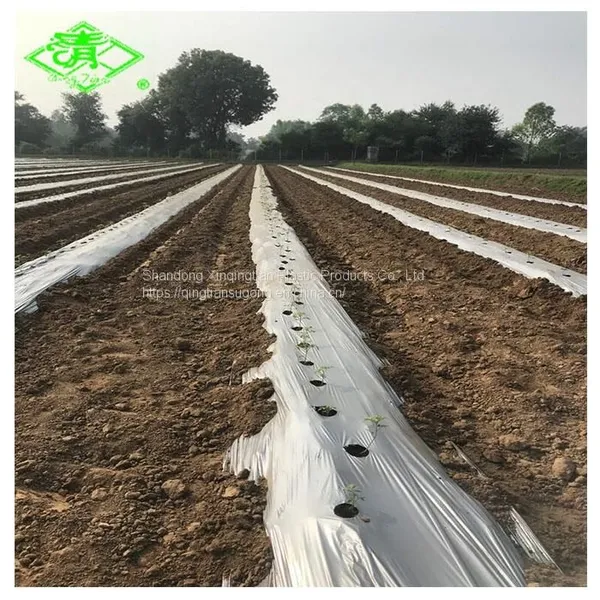 Factory Direct Sales of Silver Shine Plastic Mulch Films photo-5