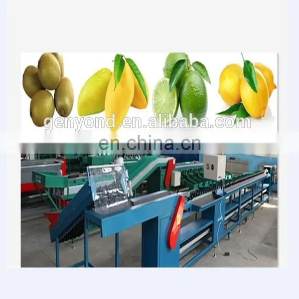 Dried Fruit Chips Pineapple Slices Grading Machine photo-2