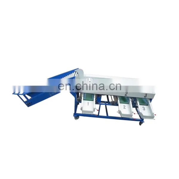 Fruit Vegetable Stainless Steel Sorting Table photo-5