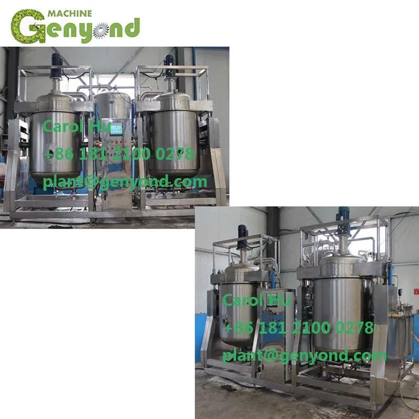 Small Fruit and Vegetables Okra Carrot Vacuum Frying Machine Malaysia photo-2