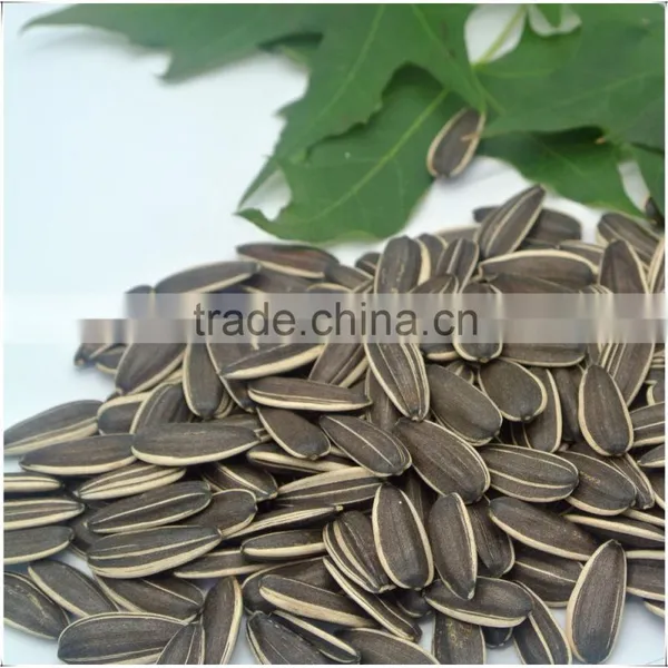 Chinese Bulk Black Sunflower Seeds With Good Quality 2015 New Crop photo-2