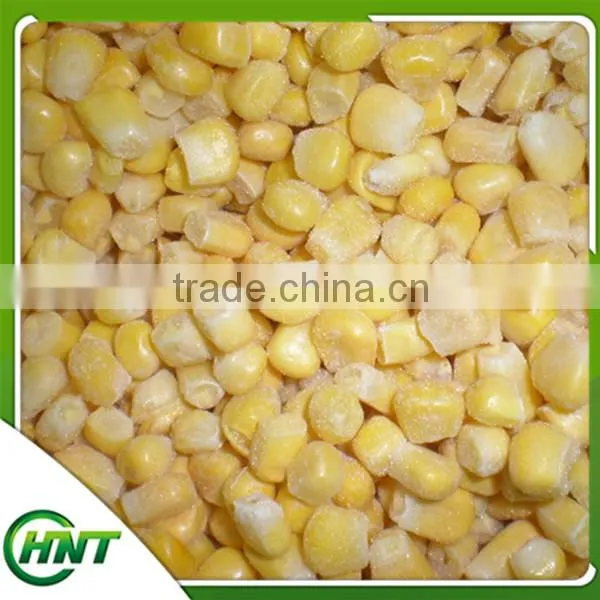 Frozen Sweet Corn Kernels/sweet Corn photo-2