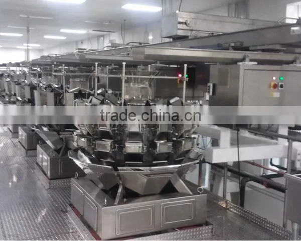 Fast Back Horizontal Motion Conveyor Design for Potato Chips Conveying photo-3