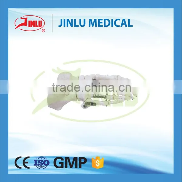 Orthopedic Implants Manufacturer Veterinary Instruments Surgery Veterinary,hospital Veterinary Tools,animal Implant Plate