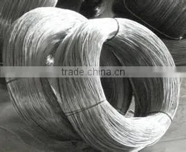 Top Quality Galvanized Wire for Making Hanger photo-3