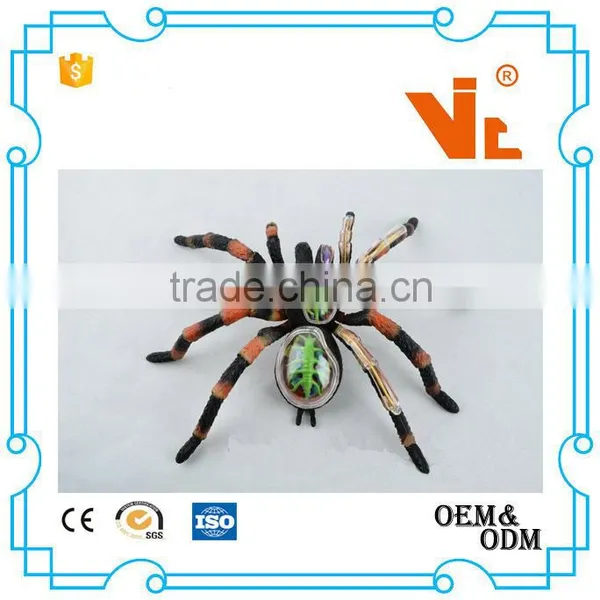 V-AM011 4D MASTER Spider Specimen Skeleton Anatomical Model With Organ photo-3