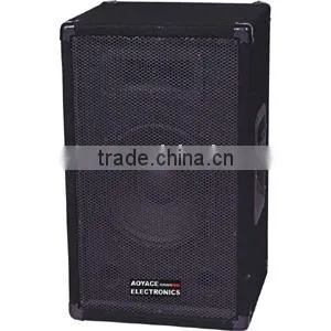 professional speaker