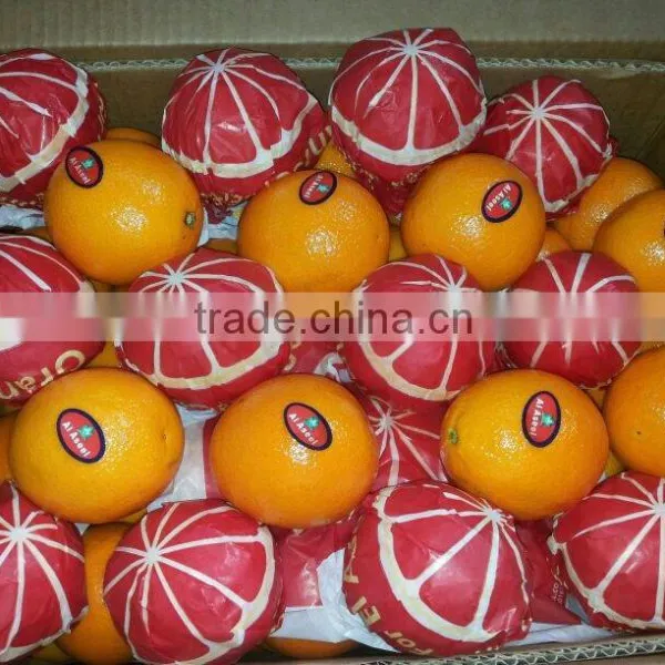 FRESH STYLE Lemon and Navel / Valencia Oranges in Egypt photo-2