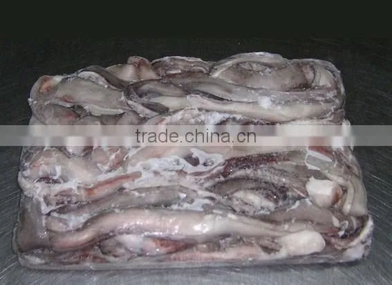 Giant Squid Tentacles