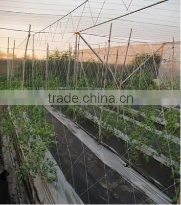 Plant Support Net/ Plant Climbing Net photo-5