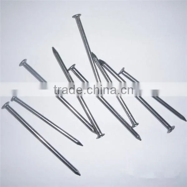 Polished & Galvanized Common Nail / Wire Nails / Steel Nails photo-3