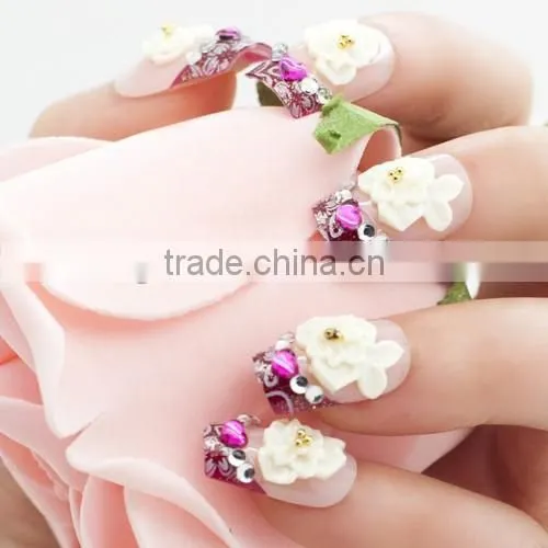 Manicure Design 3d Decoration uv Gel Powder photo-5